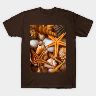 Beach Summer Starfishes Shells T-Shirt